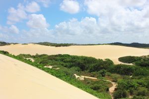 나타우 둔스 주립 공원은 브라질에서 두 번째로 큰 도시 공원으로 여겨진다.