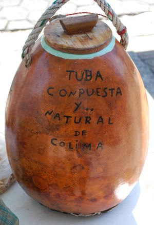 전통적인 음료 "투바" 또는 야자 술을 담는 용기(야자나무의 꽃으로 만듦).