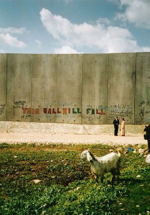 서안 지구 장벽 근처의 커플