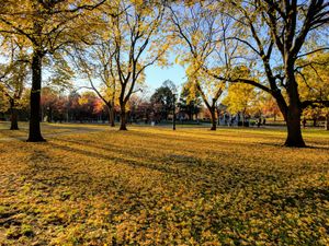 2016년 가을의 보스턴 코먼