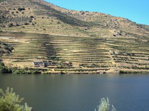 도루강과 계단식 포도밭