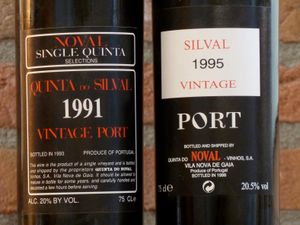 단일 킨타 빈티지, 킨타 드 노발