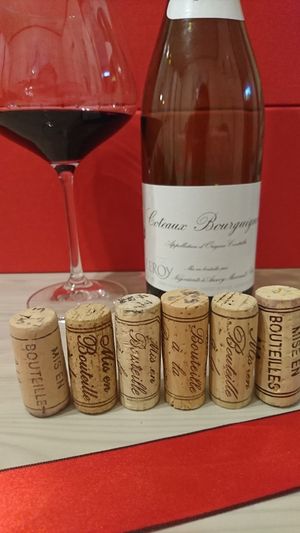 코르크마개에는 다양한 정보가 새겨질 수 있음예) '도멘이 직접 병입함', Mis en Bouteille a la propriete