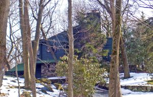 햇볕이 잘 드는 겨울날, 나무를 통해 보이는 돌 굴뚝과 기초 벽이 있는 녹색 나무 집