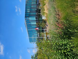 MH17 격추 10주년을 기념하여 델프트 시청에서 국가기가 조기 게양, 2024년