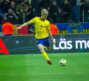 2019년 헬란데르