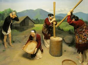 자와할랄 네루 박물관, 이타나가르