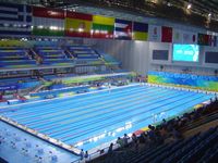 근대5종 수영 경기장
