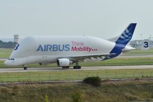 툴루즈 블라냐크 공항에 취항하는 에어버스 벨루가