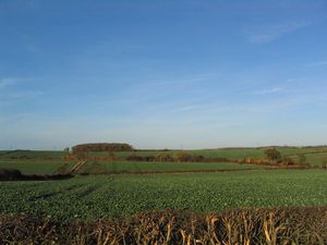 버튼 코글스 근처의 링컨셔 농지