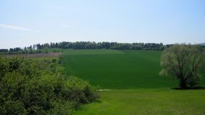 북서쪽에서 하인베르크와 하인탑을 바라본 풍경.