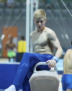 2019년 6월 26일 오전, 제1회 국제 체조 연맹(FIG) 주니어 세계 선수권 대회 남자 훈련 중 안마 운동.