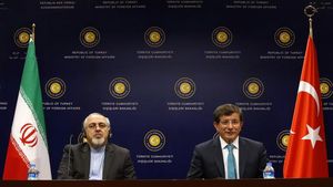 다부토울루와 이란의 외무 장관 모하마드 자바드 자리프