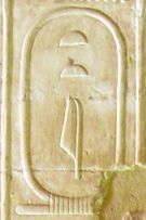 아비도스 왕 목록에 있는 호르-아하의 카르투슈 이름 테티.