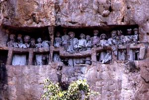 돌로 조각된 토라자의 절벽 매장지. 타우 타우(고인의 조상 조각상)가 땅을 내려다본다.