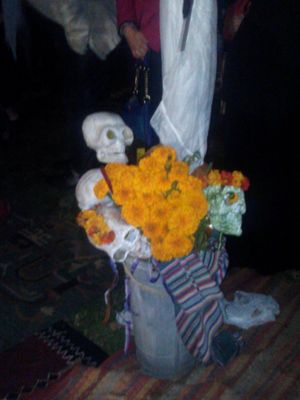 망자를 위한 아니마