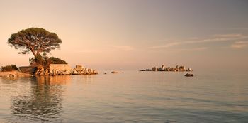 팔롬바지아 해변 앞 섬들, 코르시카, 2005