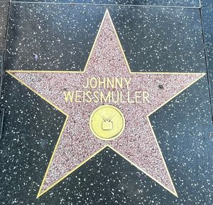 할리우드 명예의 거리의 조니 와이즈뮬러 별