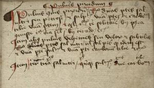 화약 제조에 관한 세 개의 짧은 단락이 포함된 필사본 GNM 3227a (독일, c. 1400). 첫 번째 단락은 초기 형태의 단락 기호로 표시되어 있으며, 다음 두 단락은 litterae notabiliores(확대된 글자)로 시작