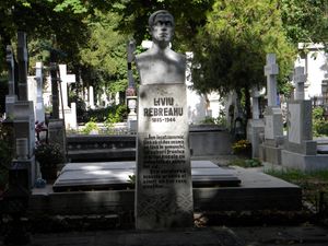리비우 레브레아누의 벨루 묘지 무덤