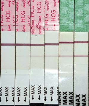 임신 초기 단계에서 점차 양성 반응을 보이는 일련의 hCG 검사