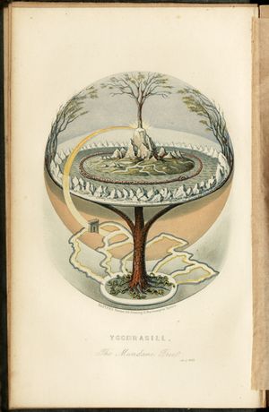 19세기 그림에서 묘사된 에다의 이그드라실