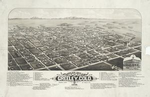 1882년의 그릴리