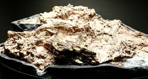 표본 블록, 뉴멕시코 박물관