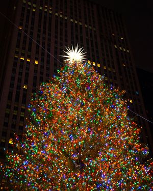 2018년 록펠러 센터 크리스마스 트리 근접 촬영