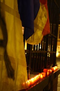 2009년 4월 8일 시비우에서 열린 통일 회의