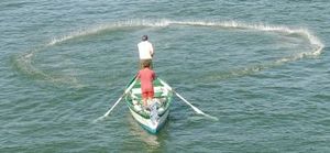 물 속으로 투망이 떨어지는 모습