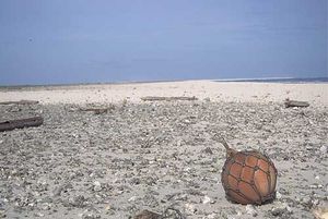 해변에 있는 유리 부유물. 이러한 어망용 부유물 중 다수가 태평양 주변 섬 해변으로 밀려온다. 부유물이 유실되면 어망이 외해에서 표류하며 물고기, 새, 해양 포유류를 계속 얽히게 할 수 있다.