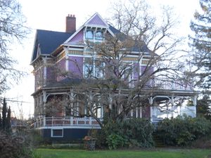 선호도가 바뀌면서 시립 지역에 심은 나무를 제거해야 할 수 있다.