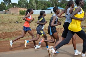 Kass 마라톤에 참가한 선수들