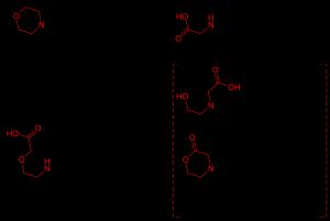 리네졸리드의 주요 대사 산물