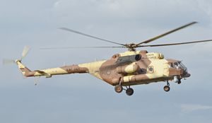 윌슨 공항의 밀 Mi-171E