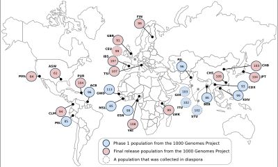 1000 유전체 프로젝트의 인구 표본 위치. 각 원은 최종 릴리스에 포함된 시퀀스의 수를 나타낸다.