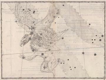 요한 바이어 『우라노메트리아』(1603년)에 그려진 독수리자리(Aquila). 바이어는, 독수리가 움켜쥔 남자는 가니메데(가뉘메데스)라고 한다.