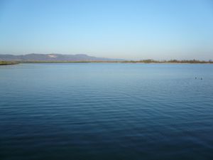 사니차니 호수 양식장