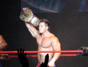 테리가 TNA 글로벌 챔피언으로서의 모습