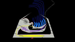 부착된 따개비의 해부학