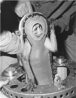 1960년 리틀 조 1B 로켓에 탑승한 미스 샘