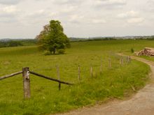 슈틸레킹 자연 보호 구역