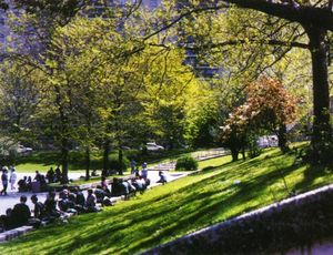 브롱크스 과학고등학교는 캠퍼스를 가진 뉴욕시의 유일한 특수 고등학교이다.