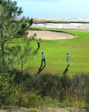 알가르브 지방에는 PGA 유러피언 투어의 최고 골프 코스가 있다.