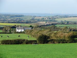 영국 본토 해안을 배경으로 한 섬의 들판