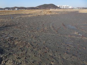 염전 바닥에 깔았던 타일의 흔적