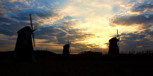 소래습지생태공원의 일출