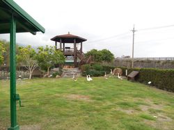 완안 수로 벼와 오리 생태 연못