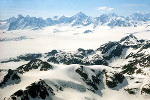 브래디 아이스필드